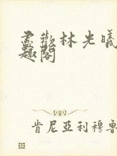 尽欢林光曦 笔趣阁