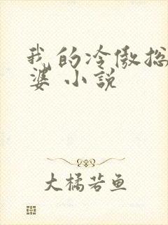 我的冷傲总裁老婆 小说