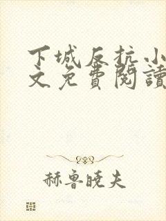 下城反抗小说全文免费阅读最新章节封面