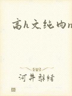 高h文纯肉np