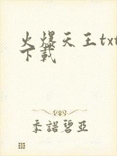 火爆天王txt下载封面