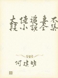 大佬追妻不择手段小说全集阅读