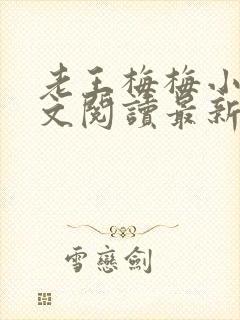老王梅梅小说全文阅读最新章节更新封面