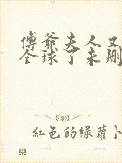 傅爷夫人又惊艳全球了未删减封面