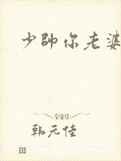少帅你老婆封面