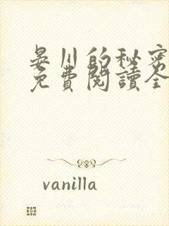 晏川的秘密小说免费阅读全文封面