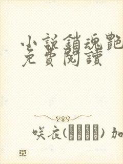 小说销魂艳婢女免费阅读封面