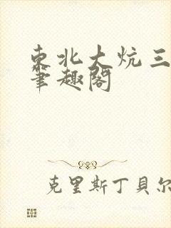 东北大炕三部曲笔趣阁