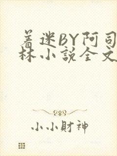 着迷BY阿司匹林小说全文免费阅读