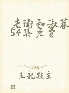 老卫和淑蓉1一54集免费