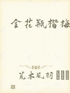 金花瓶楷梅花