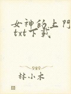 女神的上门豪婿 txt下载