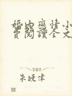 婚内恋情小说免费阅读全文封面
