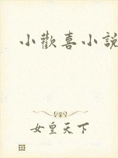 小欢喜小说