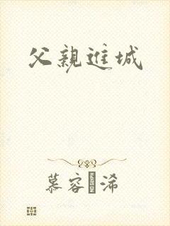 父亲进城封面