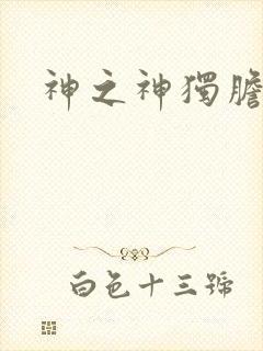 神之神独胆王
