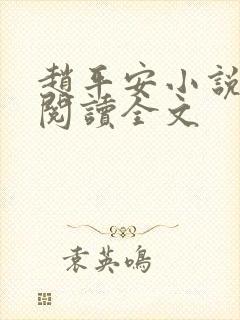 赵平安小说免费阅读全文封面