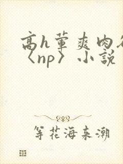 高h荤爽肉欲文〈np〉小说