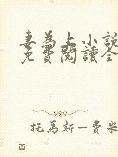 妻为上小说全文免费阅读全文