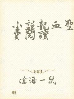 小说龙血圣帝免费阅读封面