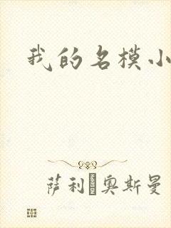 我的名模小娇妻封面