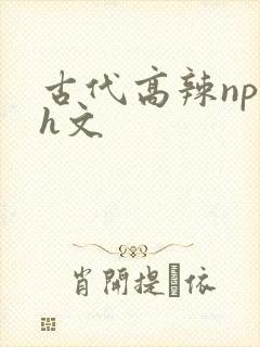 古代高辣np肉h文封面