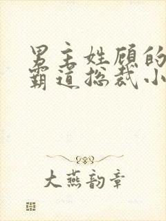 男主姓顾的所有霸道总裁小说