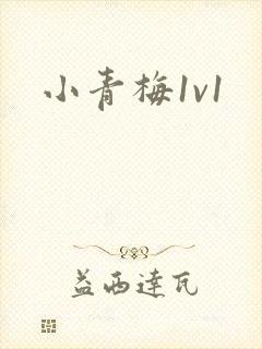 小青梅1v1