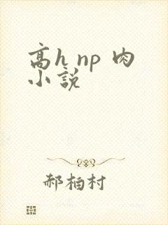 高h np 肉小说封面