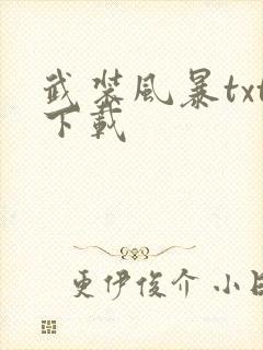 武装风暴txt下载封面