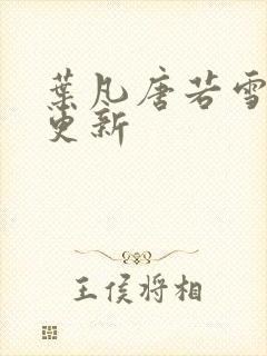 叶凡唐若雪王婿更新