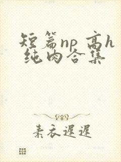 短篇np 高h 纯肉合集封面