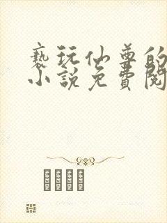 亵玩仙尊的道侣小说免费阅读封面