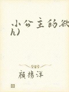 小公主的欲奴(h)