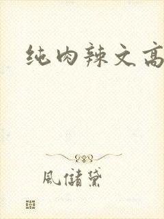 纯肉辣文高h
