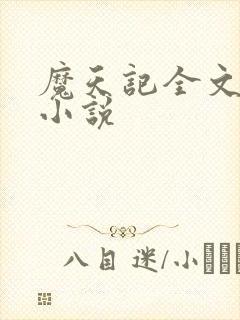 魔天记全文阅读小说封面
