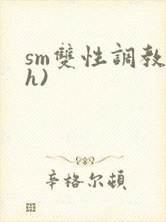 sm双性调教(h)