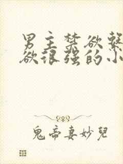 男主禁欲系占有欲很强的小说封面