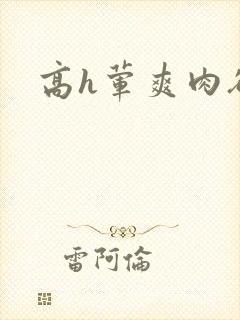 高h荤爽肉欲文