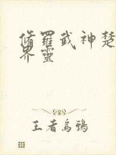 修罗武神楚枫的界灵
