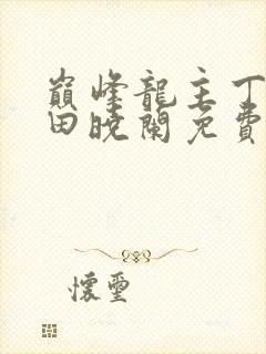 巅峰龙主丁长顺田晓兰免费阅读