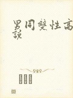 男同双性高h小说