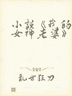 小说《我的绝美女神老婆》