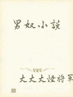 男奴小说