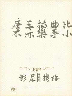 唐三插曲比比东不亦乐乎小说封面