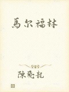 马尔福林封面