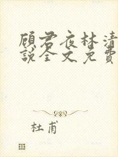 顾君夜林清妍小说全文免费阅读封面