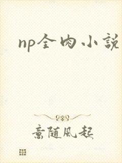 np全肉小说