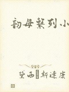 韵母系列小说