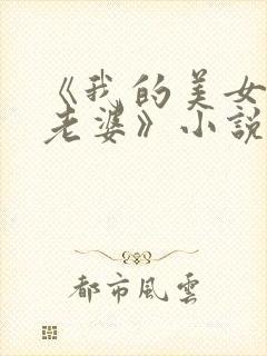 《我的美女总裁老婆》小说